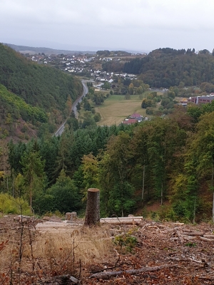 Blick vom Drachenfelsweg auf Battenberg
